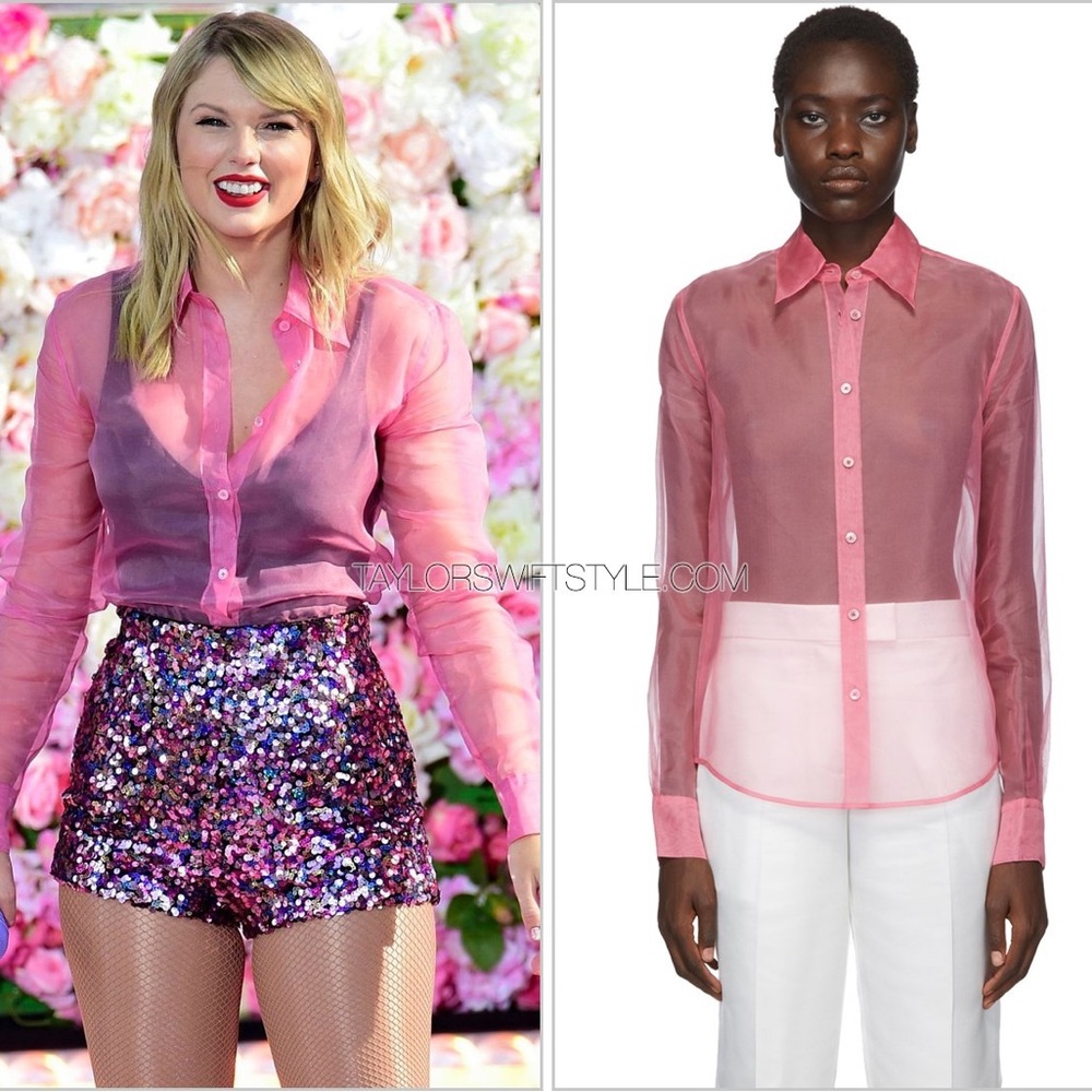 Taylor Swift Helmut Lang Sheer Pink Button Up Lover Shirt